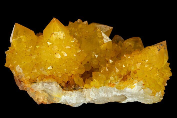Sunshine Cactus Quartz Crystal Cluster - South Africa #132882